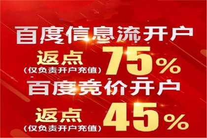 某电商平台的SEM竞价推广实践